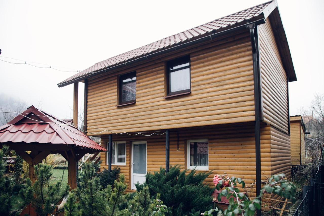 Cottage Nezabudka Γιαρέμτσε Εξωτερικό φωτογραφία